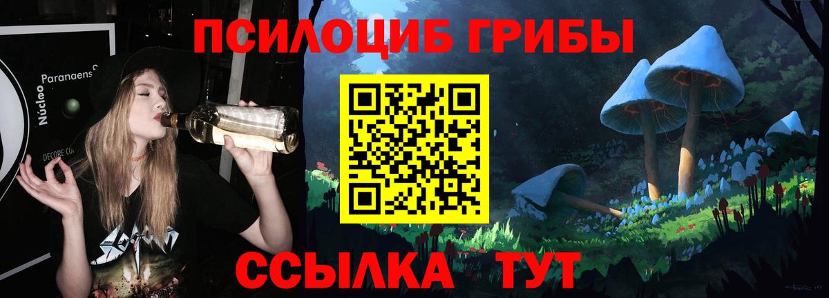 Галлюциногенные грибы Cubensis  Псилоцибиновые грибы Psilocybine cubensis  Вход с VPN  Богородск 
